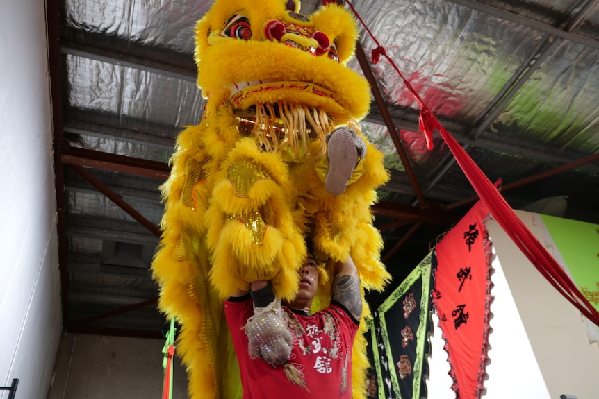 A man in a red t-shirt holds a man above his head wearing a yellow Chinese lion costume