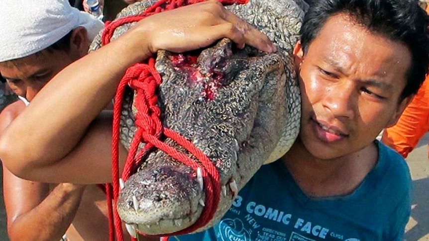 Croc removed from Bangkok floodwaters
