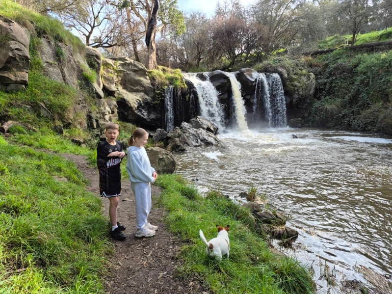 Two children and a small dog next to a small waterfall into a lake.