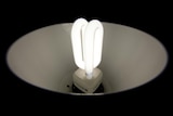 illuminated efficient light bulb
