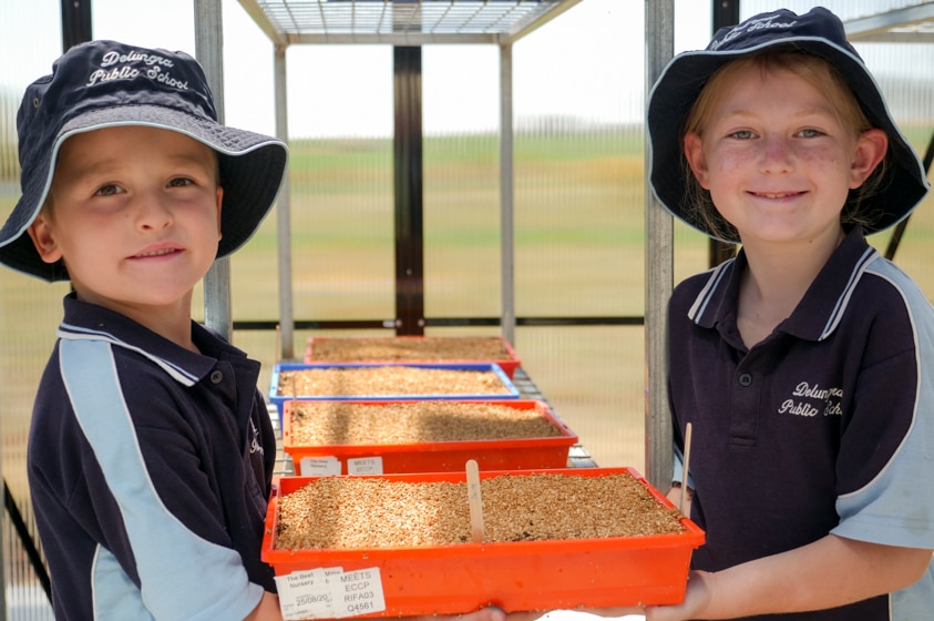 Kids in Delungra Public School's greenhouse.