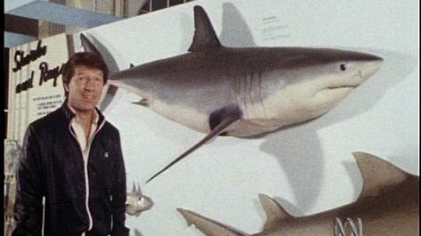Presenter Don Spencer stands beside models of sharks in a museum