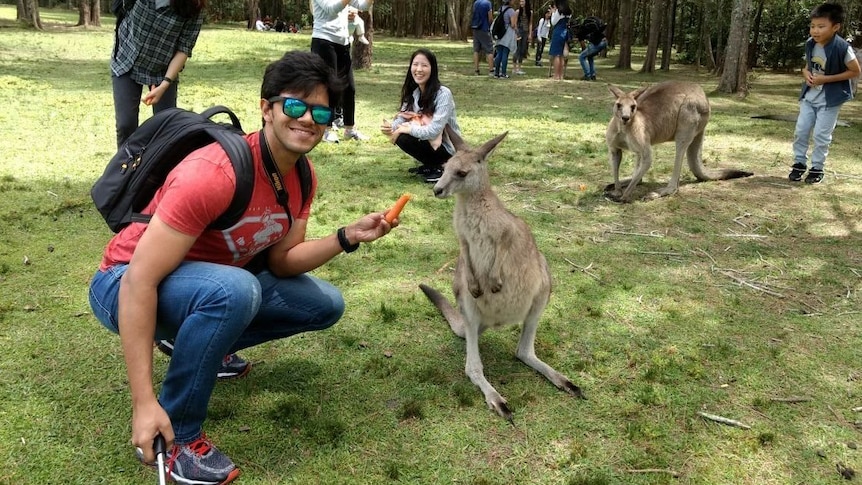 Tourist feeding a carrot to a kangaroo