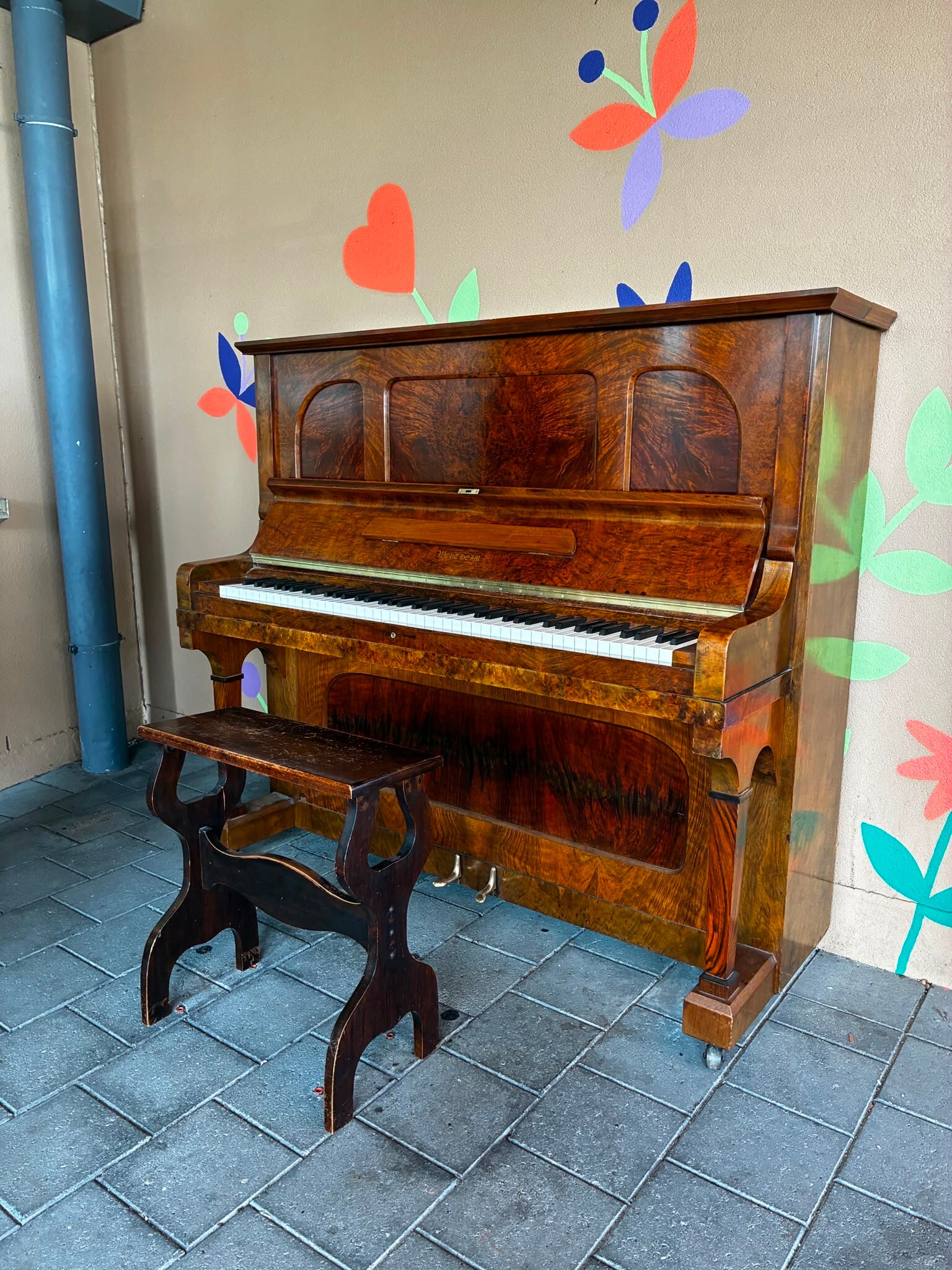 Glenunga student's campaign key to bringing music back to Burnside Library