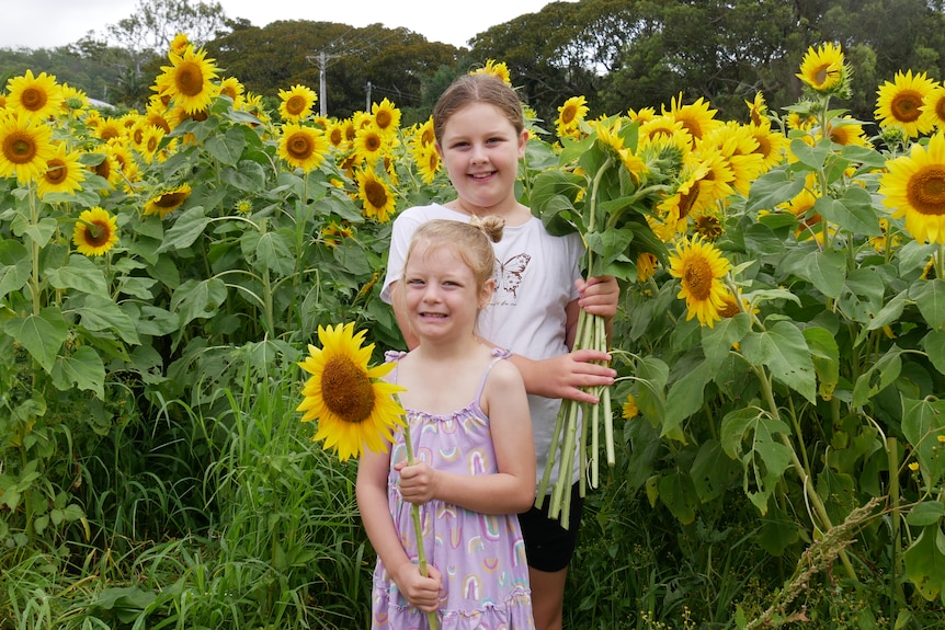 Two young girls hold bunches of sunflowers.