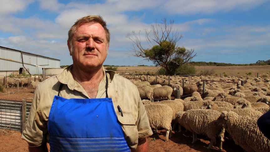 Shearing contractor Brian Hipper