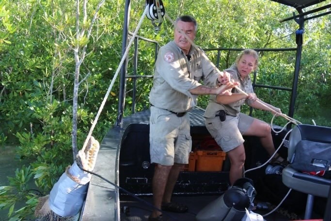 A man and a woman pull in a crocodile on to a boat