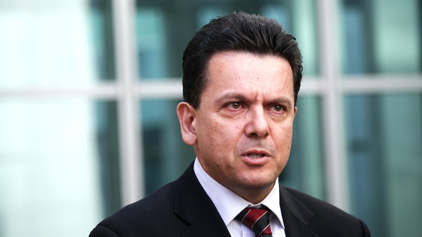 Independent Senator for South Australia Nick Xenophon speaks during a doorstop media conference at Parliament House