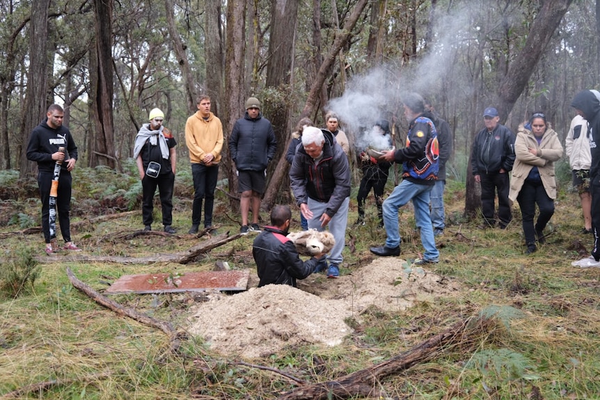 Anaiwan local men are gathered for a solemn reburial in a forested area not far from Armidale