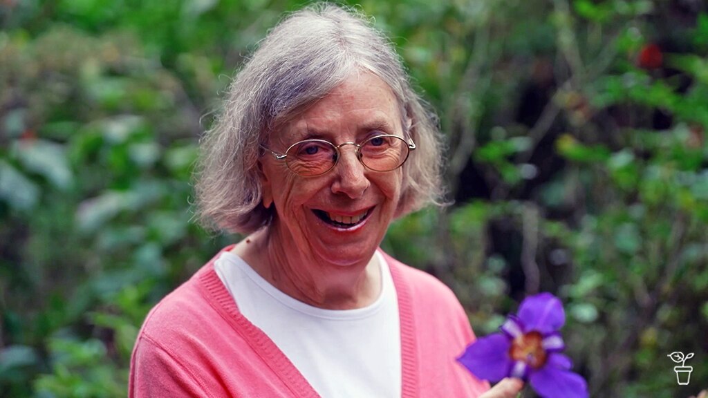 My Garden Path | Peta Trahar - Gardening Australia