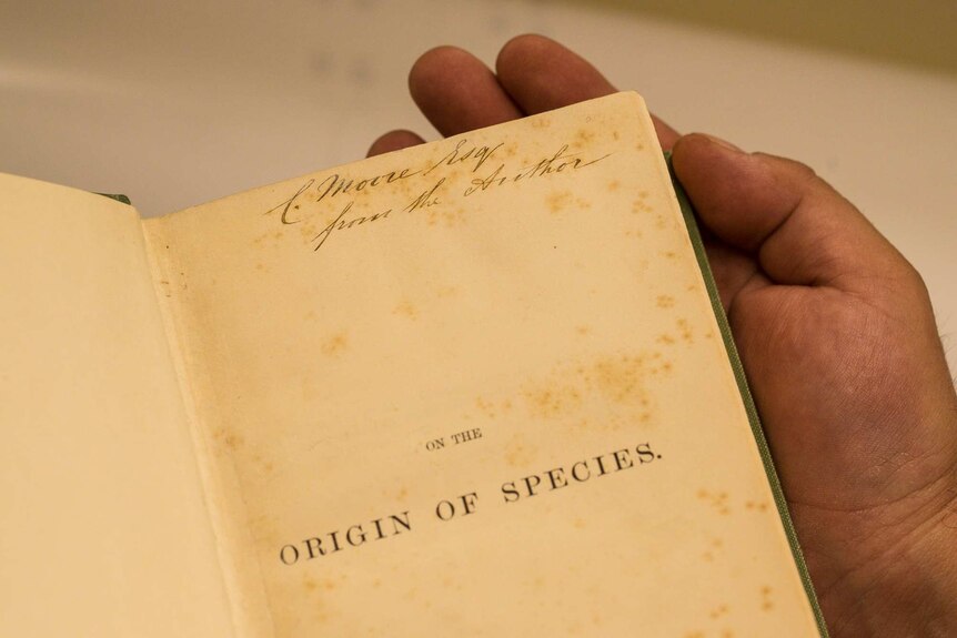 Darwin's On The Origin Of The Species