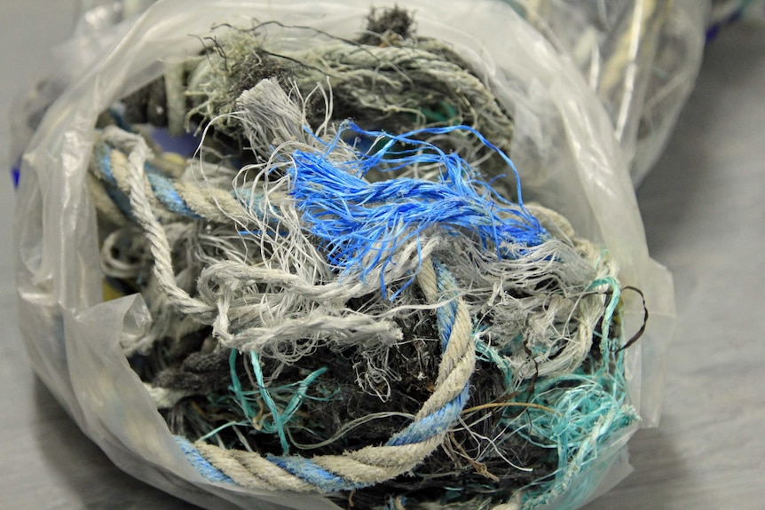 Pieces of rope found on beaches on Bruny Island