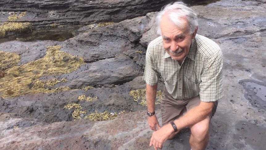 Phil Salt examines where a fossil was removed from the Ulladulla Harbour