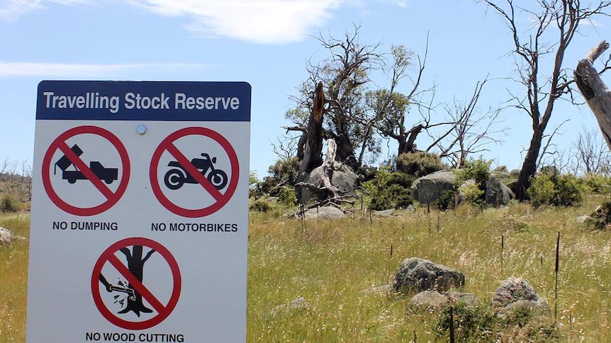 A sign prohibiting motorbikes, wood-cutting and rubbish dumping in front of dying trees