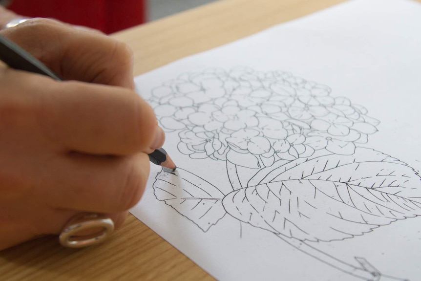 A lady's hand draws a flower on paper.