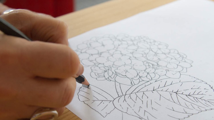 A lady's hand draws a flower on paper.