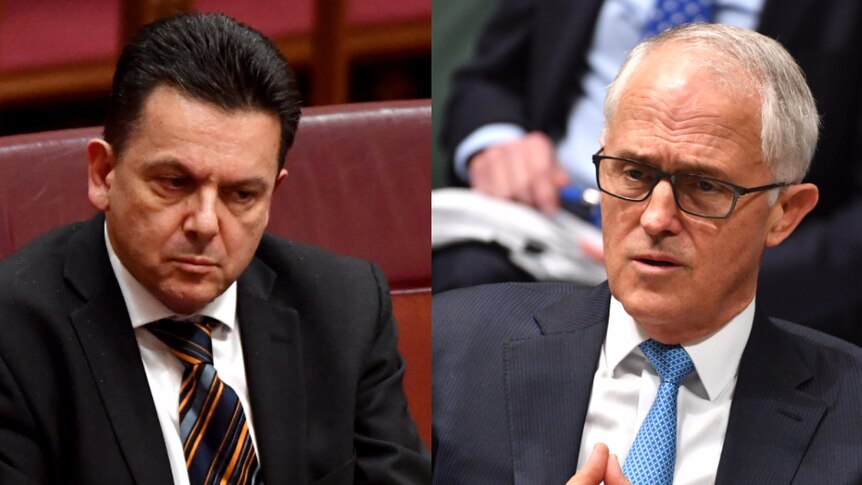 Composite image of Nick Xenophon and Malcolm Turnbull