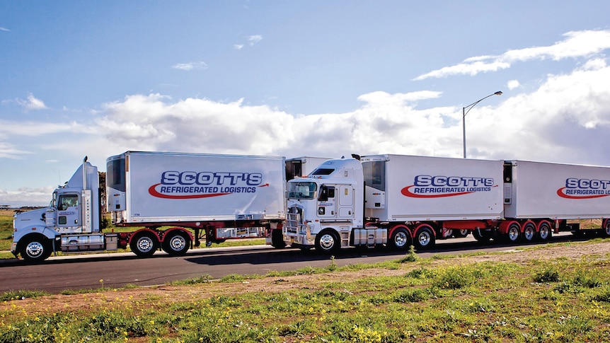 Les supermarchés cherchent à préserver l’approvisionnement alors que Scott’s Refrigerated Logistics fait faillite avec la perte de 1 500 emplois