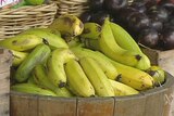 Reports of banana imports have concerned Australian growers. (File photo)