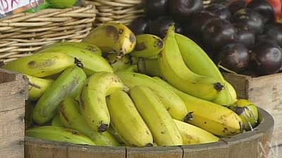 Reports of banana imports have concerned Australian growers. (File photo)