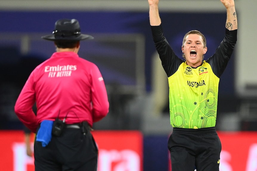 Adam Zampa holds both his arms up and appeals to the umpire