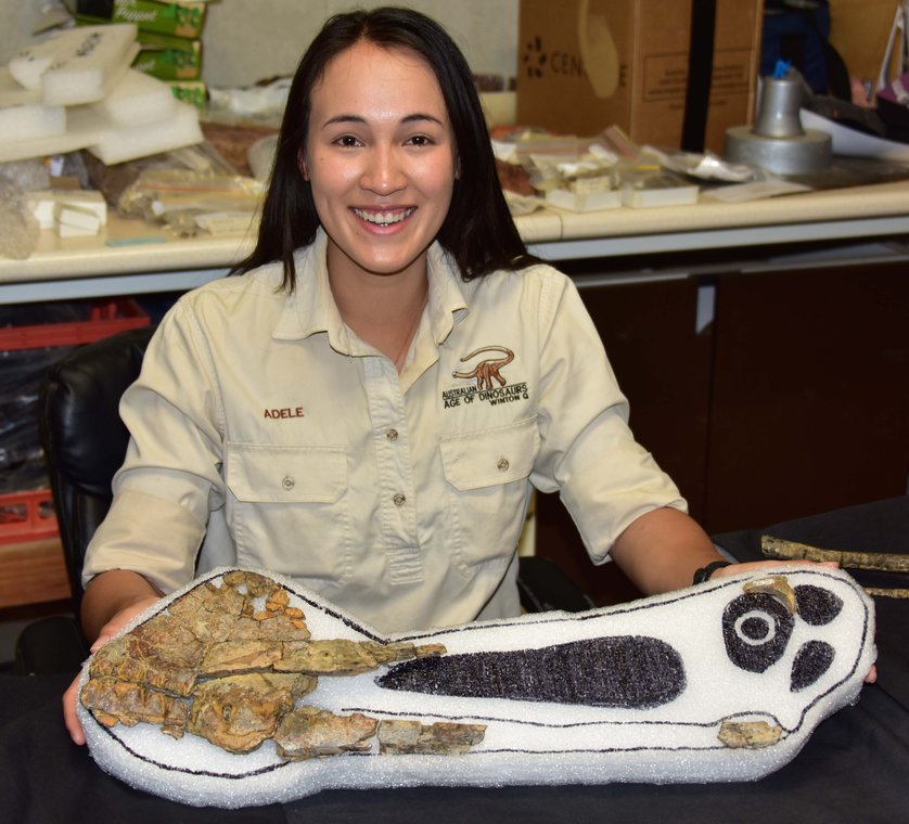 Palaeontologist with a dinosaur fossil in a cast.