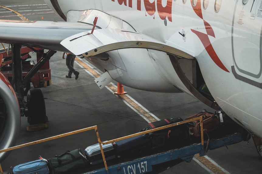 Luggage going into a plane.