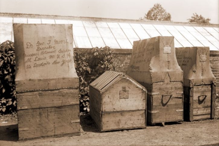Black and white photo of four wooden boxes which were used to transport plants.