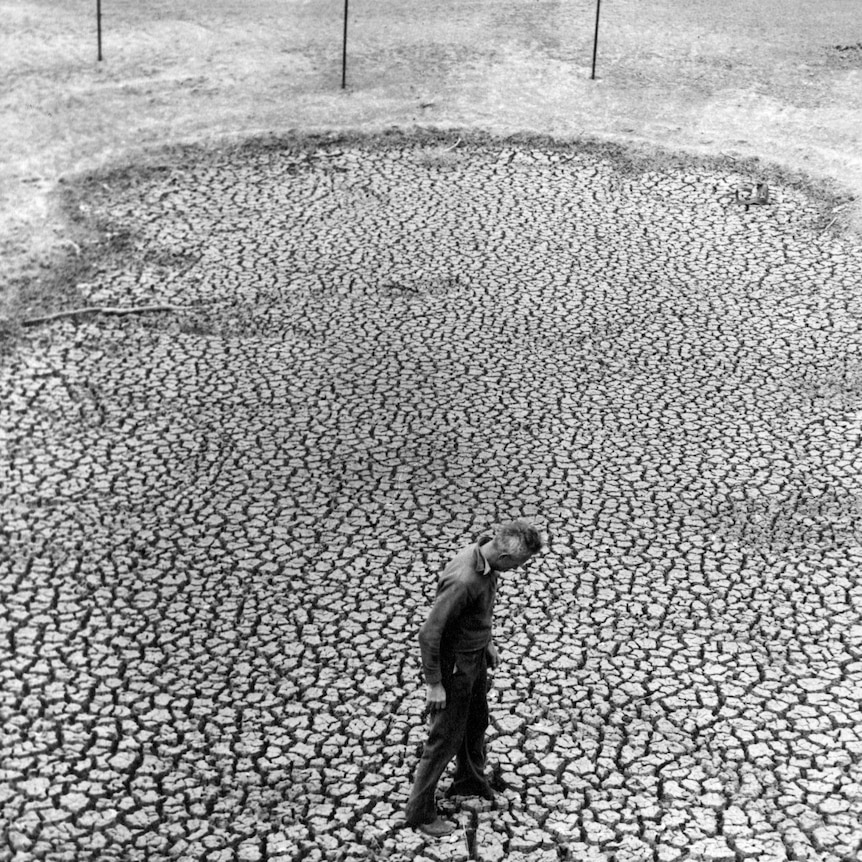 NSW drought 1965