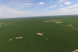 Aerial footage of wheat fields