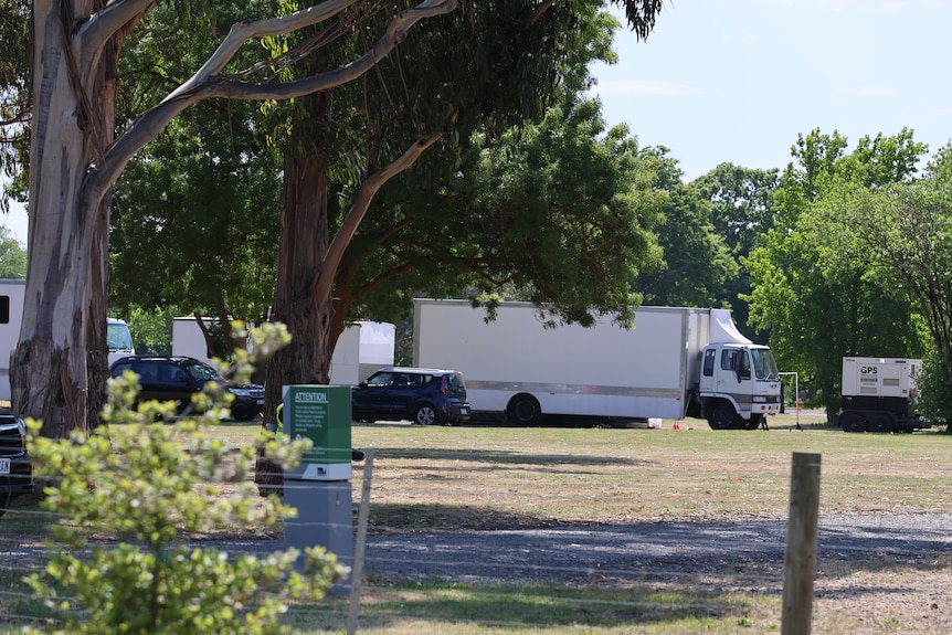 White trucks in background with trees in foreground.