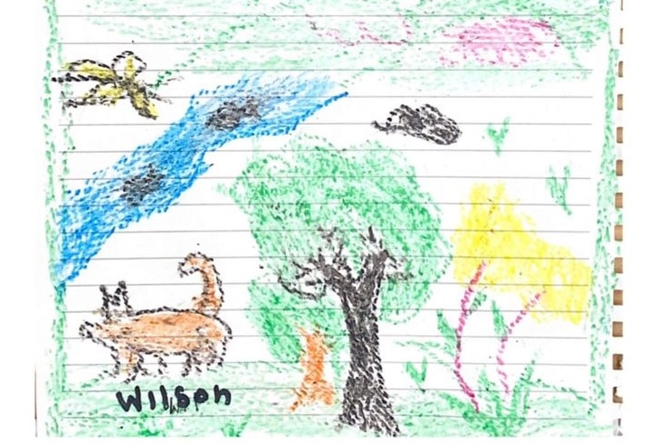 A child's drawing of Wilson the dog. He is standing next to a tree and river with fish.