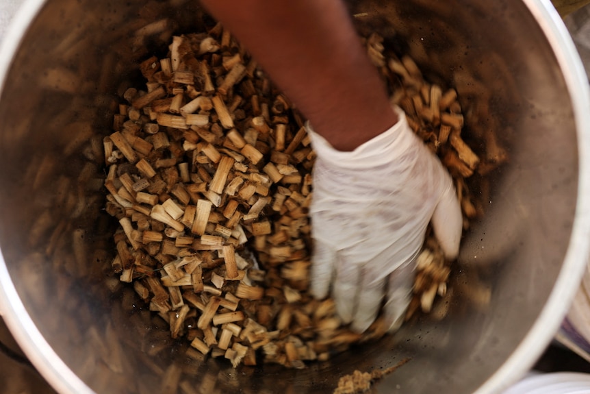 A person's hand in a container filled with cigarette filter tips. 
