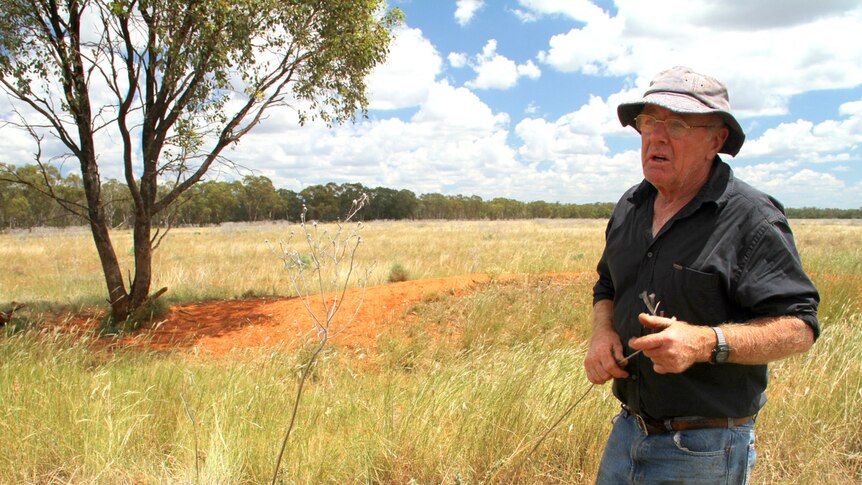 A man in a black work shirt, jeans and a hat standing in a paddock of long grass.