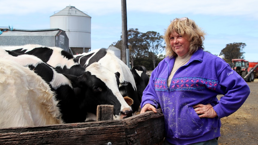 Tracey Russell stands next to a cow pen with a number of dairy cows inside it.