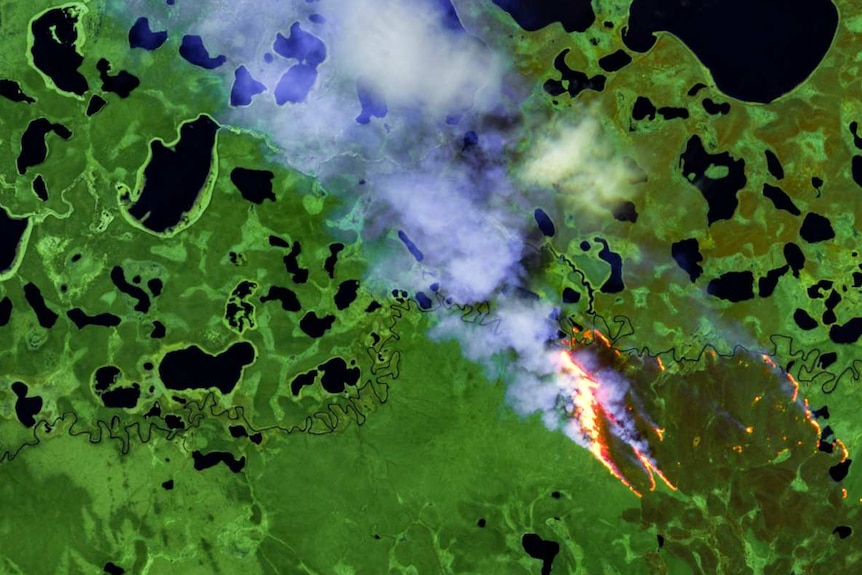 绿色卫星图像，中心有火