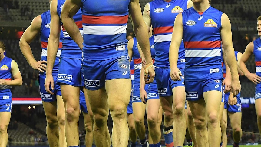 Western Bulldogs generic