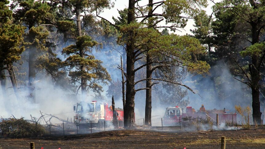 Firefighters and firetrucks amongst trees and smoke behind a blackened field.