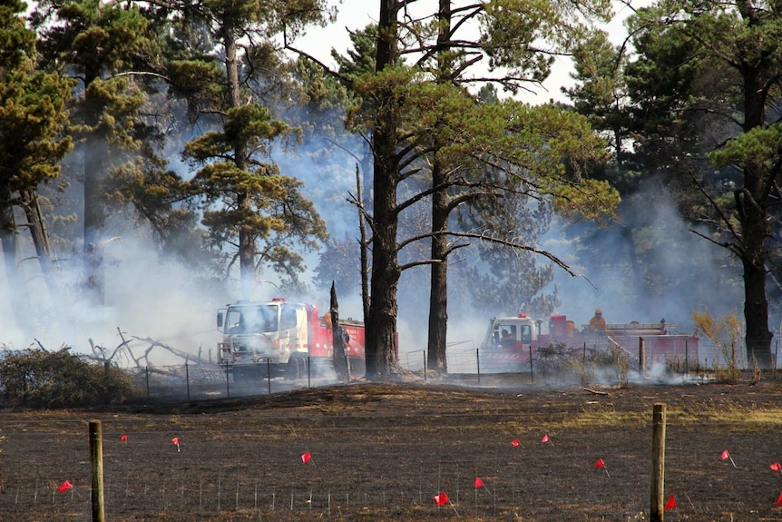 Firefighters and firetrucks amongst trees and smoke behind a blackened field.
