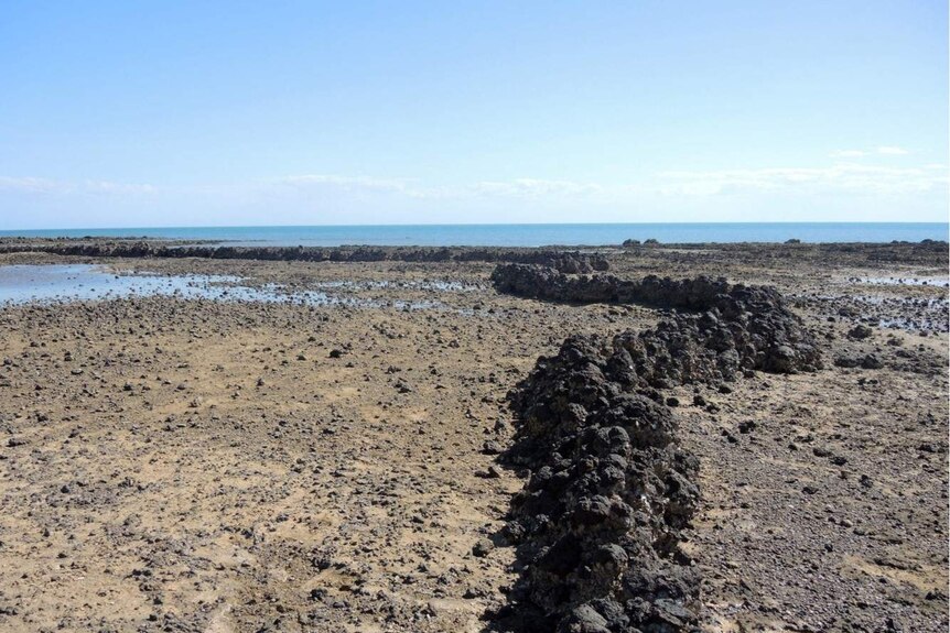 A stone walled fish trap made of dark stone against a backdrop of beach and sunny sky