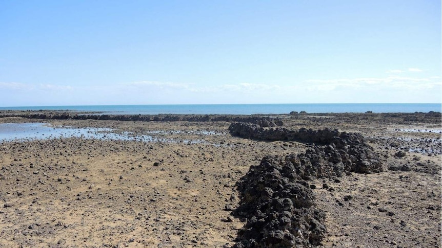 A stone walled fish trap made of dark stone against a backdrop of beach and sunny sky