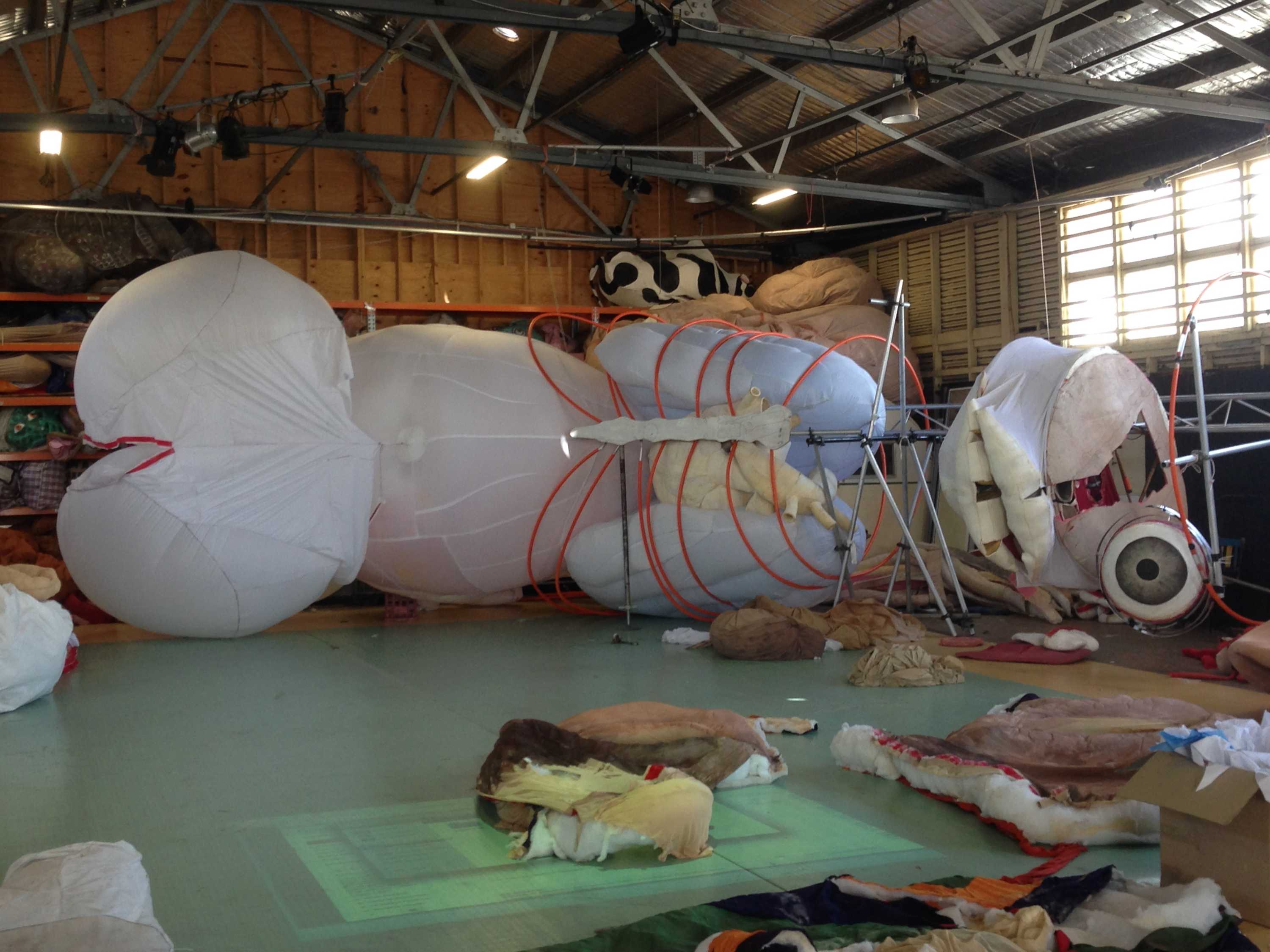 Melbourne theatre company aims for record with world's largest human