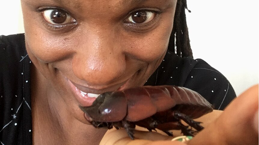 Dr Tanya Latty with a burrowing cockroach.