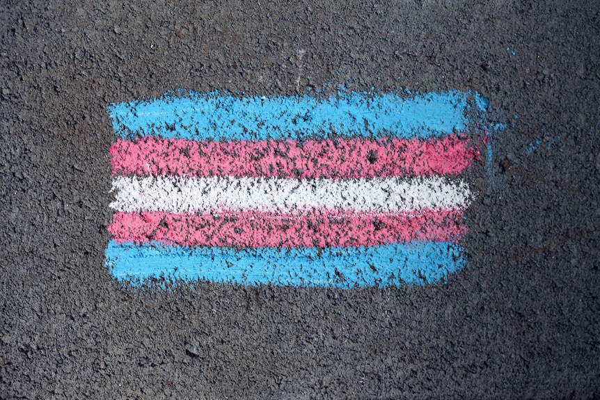 A chalk drawing of a transgender flag featuring two blue stripes, two pink stripes and one white
