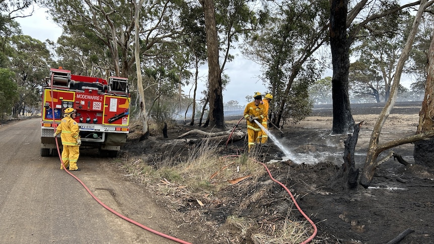 Fire fighters hosing down burnt ground