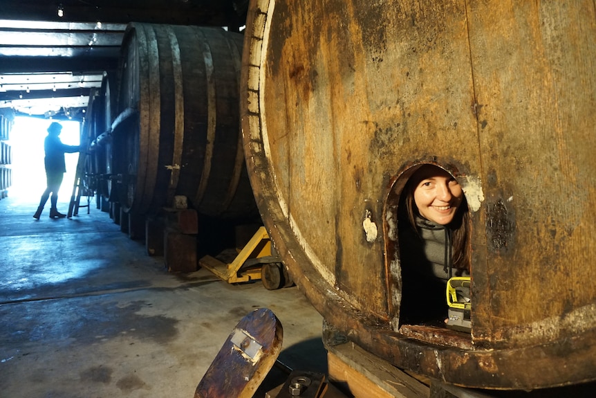 A person peeks out from the inside of a large barrel.