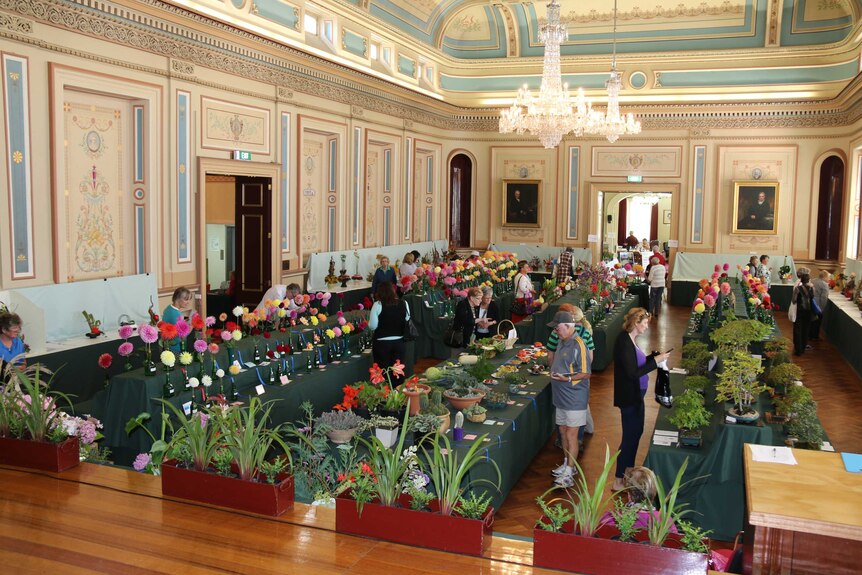 Hobart's town hall hosts the Autumn Flower Show