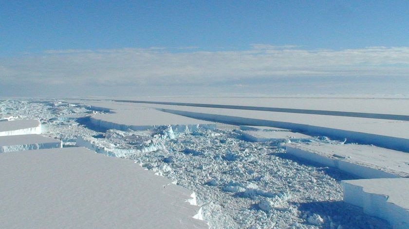 The Wilkins Ice Shelf in Antarctica.