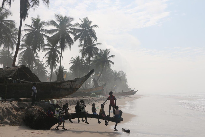 Children sit on a palm tree trunk on the beach