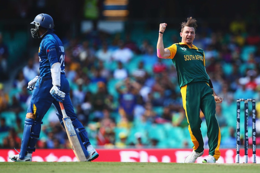 Dale Steyn celebrates the wicket of Tillakaratne Dilshan